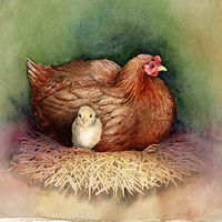 Hen with Chick //images.artistrunwebsite.com/gallery/img_1744371459058822_large.jpg?1490302160