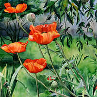 Poppies //images.artistrunwebsite.com/gallery/img_1744401459058843_large.jpg?1490302160