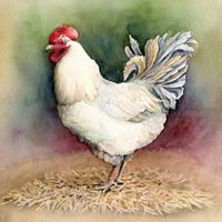 White Rooster //images.artistrunwebsite.com/gallery/img_1744451459062246_large.jpg?1490302160