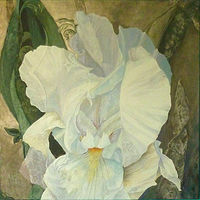 iris Llace //images.artistrunwebsite.com/gallery/img_1746131459223434_large.jpg?1488341362