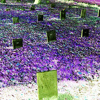 Varysburg Cemetary 2 //images.artistrunwebsite.com/gallery/img_1788481460531334_large.jpg?1473927334