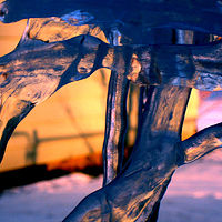 enlarge ice //images.artistrunwebsite.com/gallery/img_1788511460531389_large.jpg?1473927334