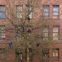Laundry //images.artistrunwebsite.com/gallery/img_181331767183_large.jpg?1616591756