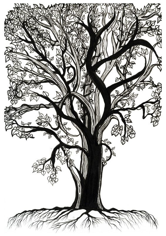 Entangled Drawing Entangled by Danielle Scott
