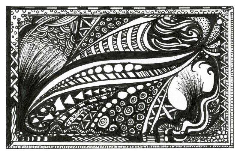 The Peacock Drawing The Peacock by Danielle Scott