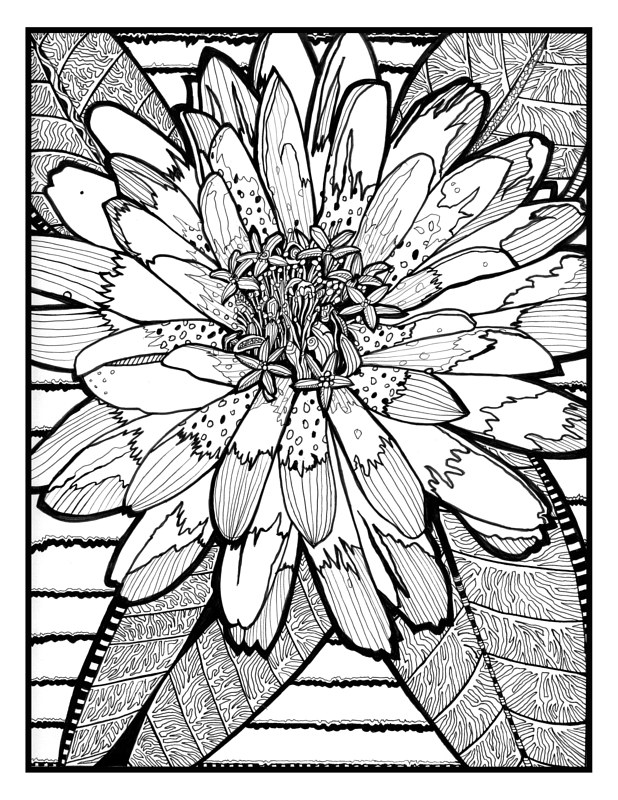 Zowie Print Zowie by Danielle Scott