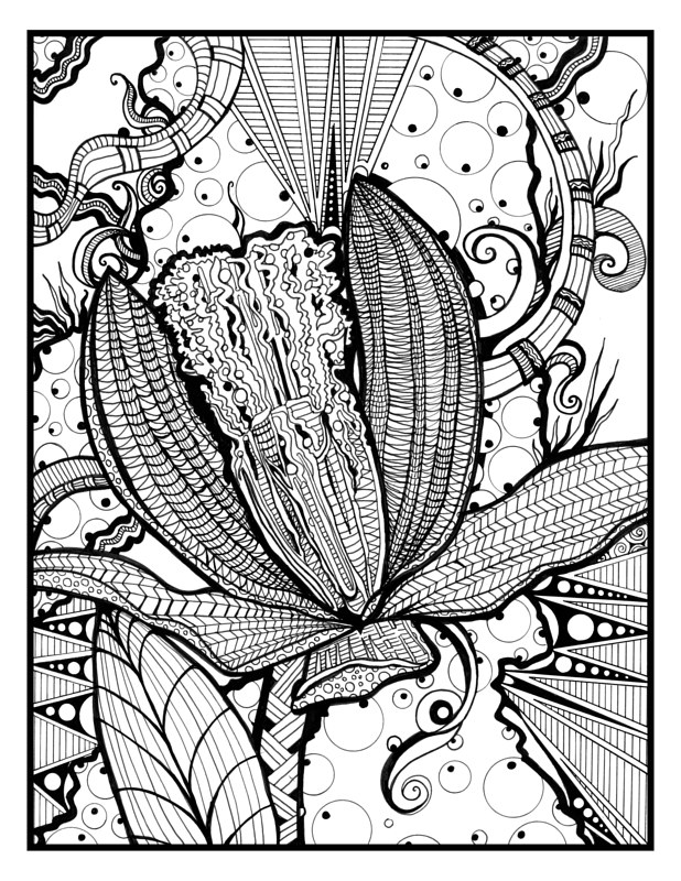 Bletilla Striata Print Bletilla Striata by Danielle Scott