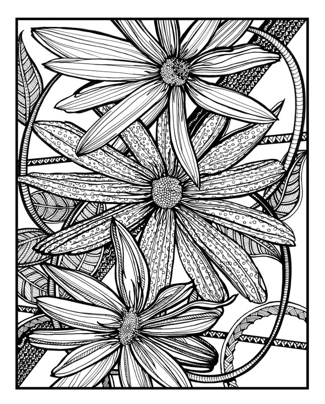 Brown Eyed Susans Print Brown Eyed Susans by Danielle Scott