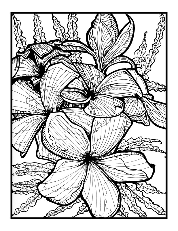 Celadine Drawing Celadine by Danielle Scott