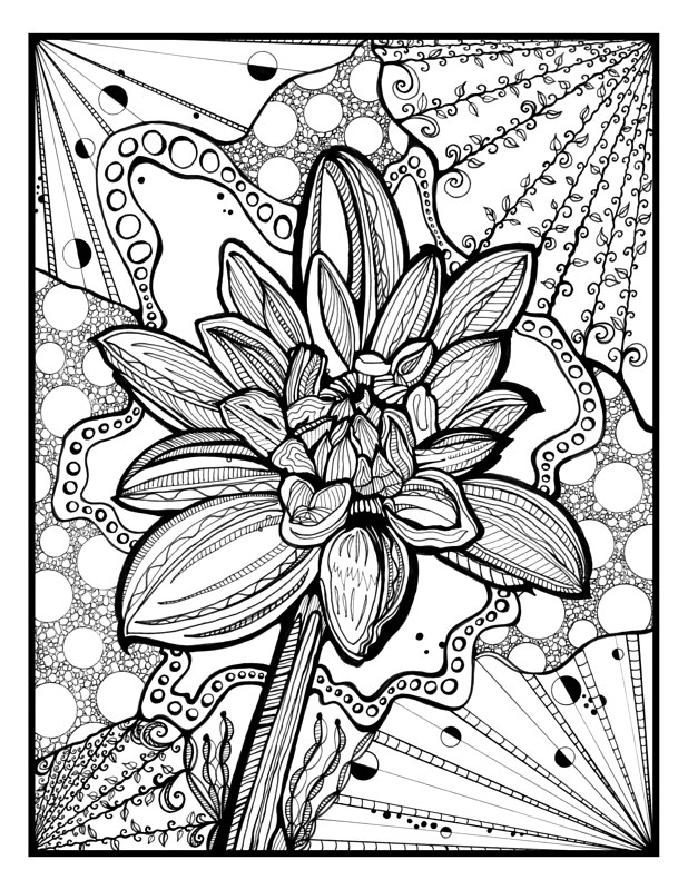 Dahlia in Bloom Drawing Dahlia in Bloom by Danielle Scott