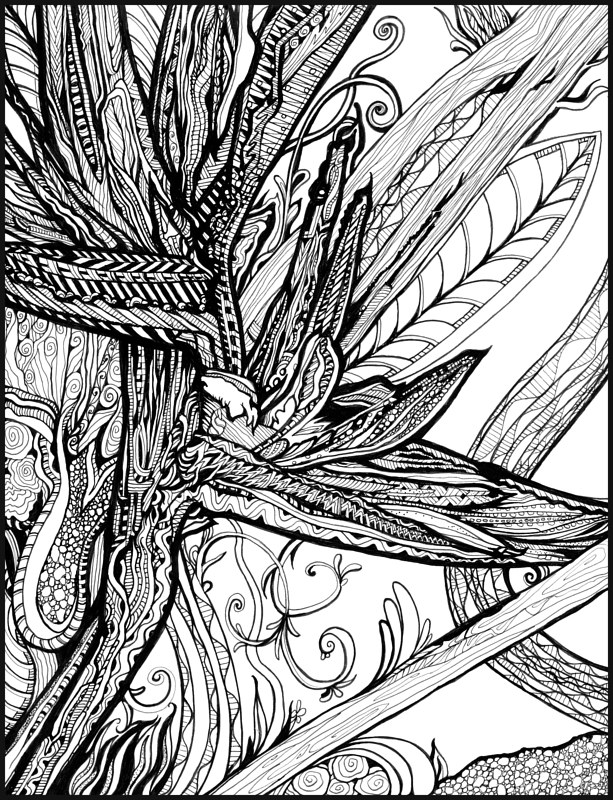 Wild Bird Drawing Wild Bird by Danielle Scott