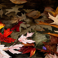 Underneath //images.artistrunwebsite.com/gallery/img_186031358001273_large.jpg?1451439097