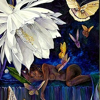 Waiting for the Night Blooming Cerius //images.artistrunwebsite.com/gallery/img_186141358006845_large.jpg?1480319194
