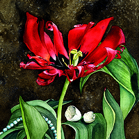 Gifts of Love //images.artistrunwebsite.com/gallery/img_186451358025594_large.jpg?1425008912
