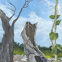 Slow Dance //images.artistrunwebsite.com/gallery/img_186601358025638_large.jpg?1425008975