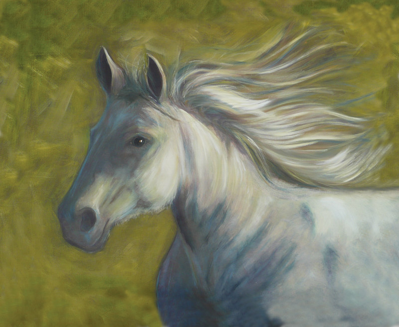 Run Like the Wind Acrylic painting Run Like the Wind by Sally Adams
