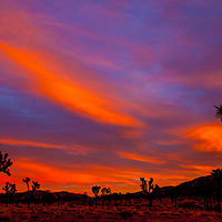 Rainbow Sky //images.artistrunwebsite.com/gallery/img_1894521464507719_large.jpg?1488509470