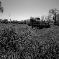 Hay Wagon //images.artistrunwebsite.com/gallery/img_1894601464508091_large.jpg?1488509470