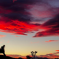 Fire Sky //images.artistrunwebsite.com/gallery/img_1894641464508250_large.jpg?1488509470