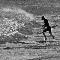 Surf's Up //images.artistrunwebsite.com/gallery/img_1899771464852694_large.jpg?1476597251