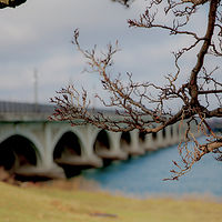 Belle Isle Bridge //images.artistrunwebsite.com/gallery/img_1899871464853299_large.jpg?1474868627