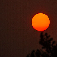Hazy Sun //images.artistrunwebsite.com/gallery/img_1900031464855220_large.jpg?1488509470
