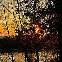 Sun Down //images.artistrunwebsite.com/gallery/img_1900071464855407_large.jpg?1488509469