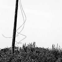 Lone Pole //images.artistrunwebsite.com/gallery/img_1900081464855456_large.jpg?1488509469
