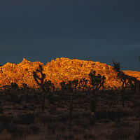 Last Light //images.artistrunwebsite.com/gallery/img_1900101464855542_large.jpg?1488509469