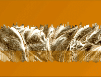 FRACTAL FREQUENCIES_bow //images.artistrunwebsite.com/gallery/img_1927681466769017_large.gif?1466769071