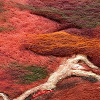 Coming in to land 1, The Red Centre, Australia - detail //images.artistrunwebsite.com/gallery/img_1936991467922958_large.jpg?1472065919