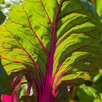Colour 17 //images.artistrunwebsite.com/gallery/img_1956291468817314_large.jpg?1468827713