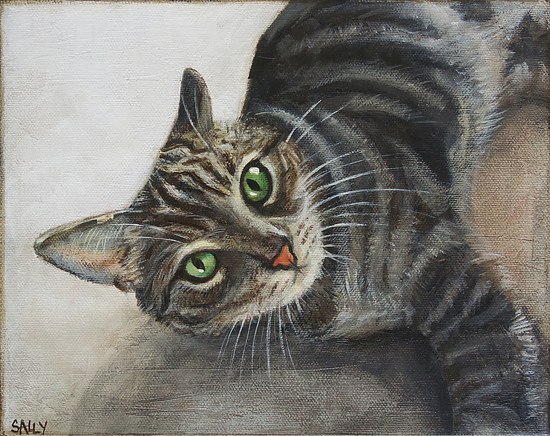 Tiger cat Acrylic painting Tiger cat by Sally Adams