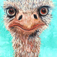 Curious Ostrich //images.artistrunwebsite.com/gallery/img_2000631471056011_large.jpg?1474177674
