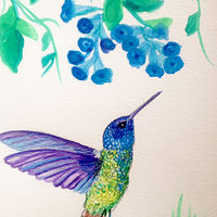 Adult Hummingbird //images.artistrunwebsite.com/gallery/img_2000671471056088_large.jpg?1474177674