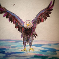 Eagle10minpaintings //images.artistrunwebsite.com/gallery/img_2000701471056172_large.jpg?1474177674