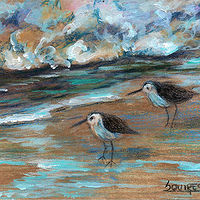 Sandpipers //images.artistrunwebsite.com/gallery/img_2001581471079823_large.jpg?1474177673