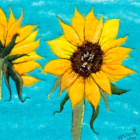 Sunflowers //images.artistrunwebsite.com/gallery/img_2012301471626338_large.jpg?1527870647