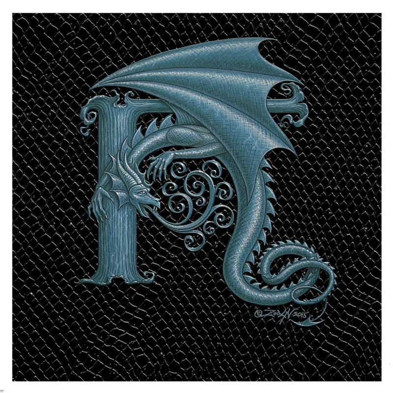 Dragon H, Silver 8x8" Print Dragon H, Silver 8x8" by Sue Ellen Brown