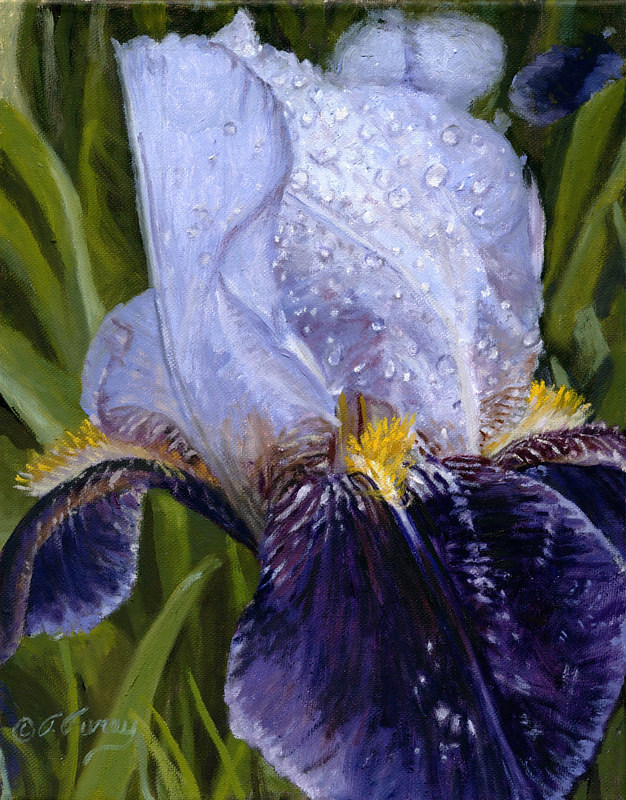 FLOWER by Tom Furey Oil painting FLOWER by Tom Furey by David Eater