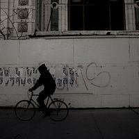 Night Rider //images.artistrunwebsite.com/gallery/img_2060601474866525_large.jpg?1476597251