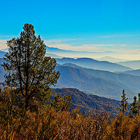 Bear Lake //images.artistrunwebsite.com/gallery/img_2061281474869059_large.jpg?1488509469