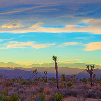 Purple Mountain Majesty //images.artistrunwebsite.com/gallery/img_2061291474869082_large.jpg?1488509469
