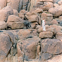 Rock Lady //images.artistrunwebsite.com/gallery/img_2061371474869200_large.jpg?1488509468