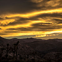 Joshua Tree Sunset //images.artistrunwebsite.com/gallery/img_2061381474869212_large.jpg?1488509468