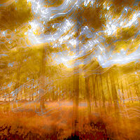 Beautiful Mistake //images.artistrunwebsite.com/gallery/img_2061971474912152_large.jpg?1474919158
