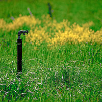 Farm Faucet //images.artistrunwebsite.com/gallery/img_2062121474913771_large.jpg?1474914114