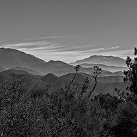 Mountain View //images.artistrunwebsite.com/gallery/img_2062251474915378_large.jpg?1474919276
