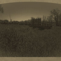 Hay Now //images.artistrunwebsite.com/gallery/img_2062291474915601_large.jpg?1474919259