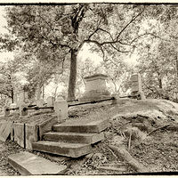 Cemetery View //images.artistrunwebsite.com/gallery/img_2062321474915761_large.jpg?1474919249
